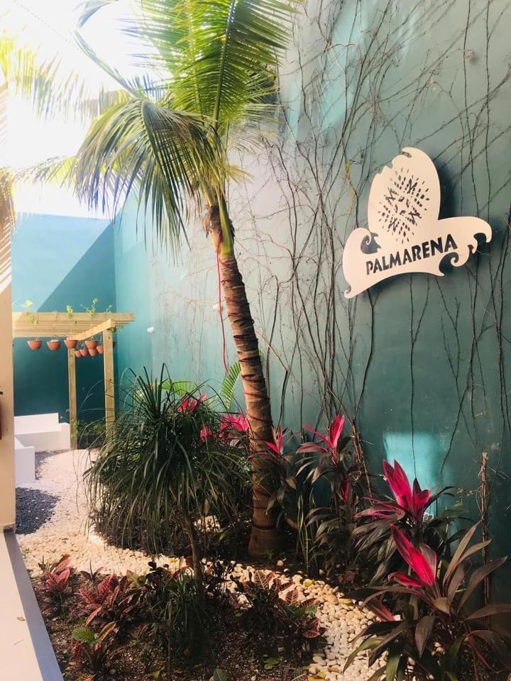 Acogedor Loft En Playa del Carmen